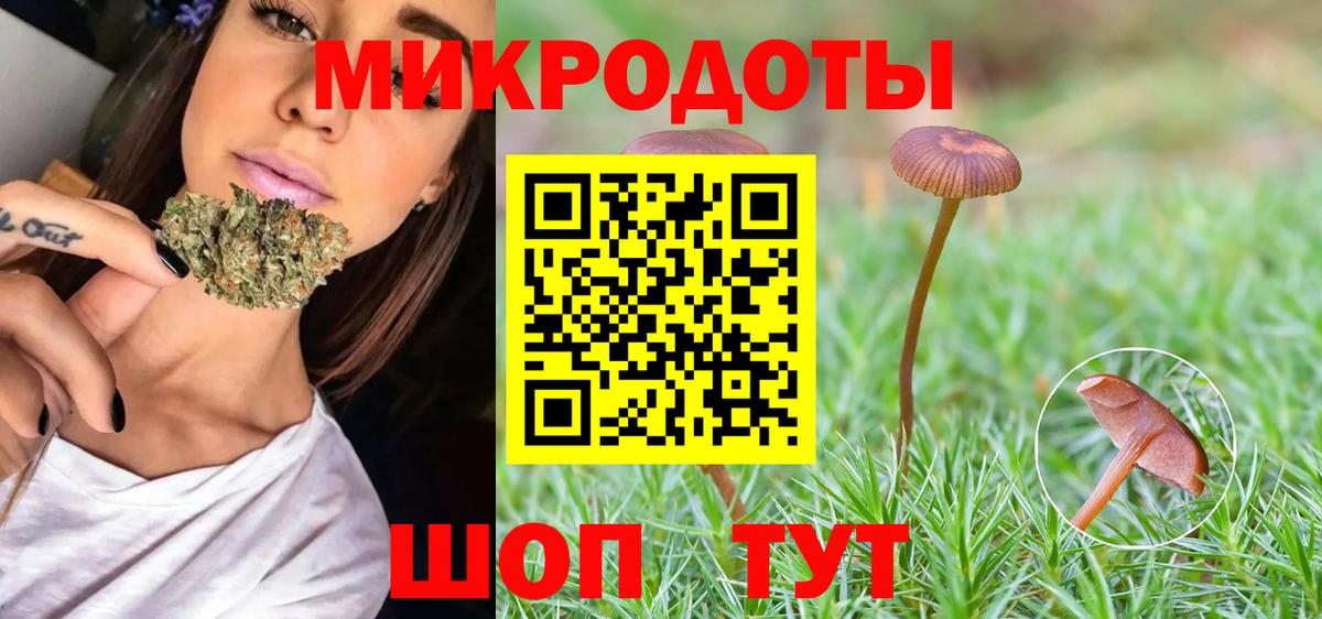 Белореченск  Галлюциногенные грибы прущие грибы  Вход с VPN 