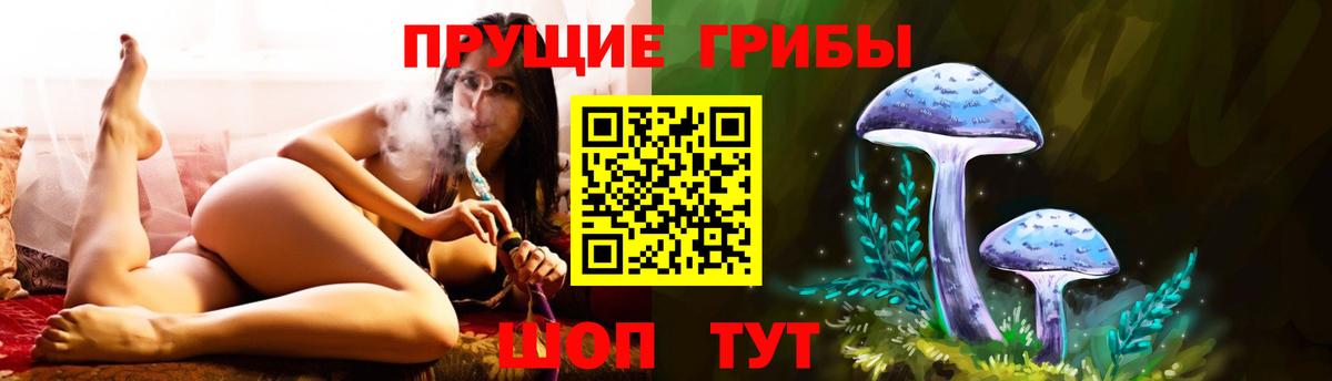 Галлюциногенные грибы прущие грибы Белореченск